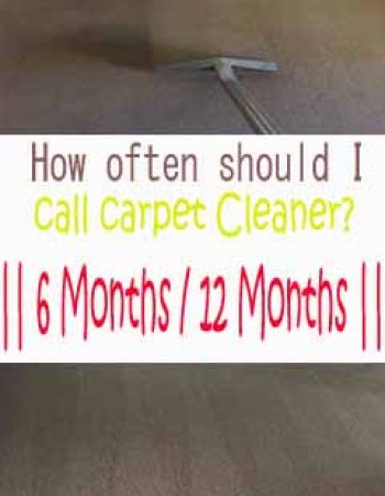 oracle carpet cleaning Brisbane