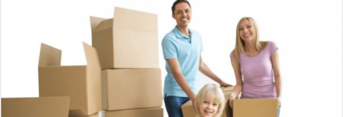 Better Removalists Sunshine Coast