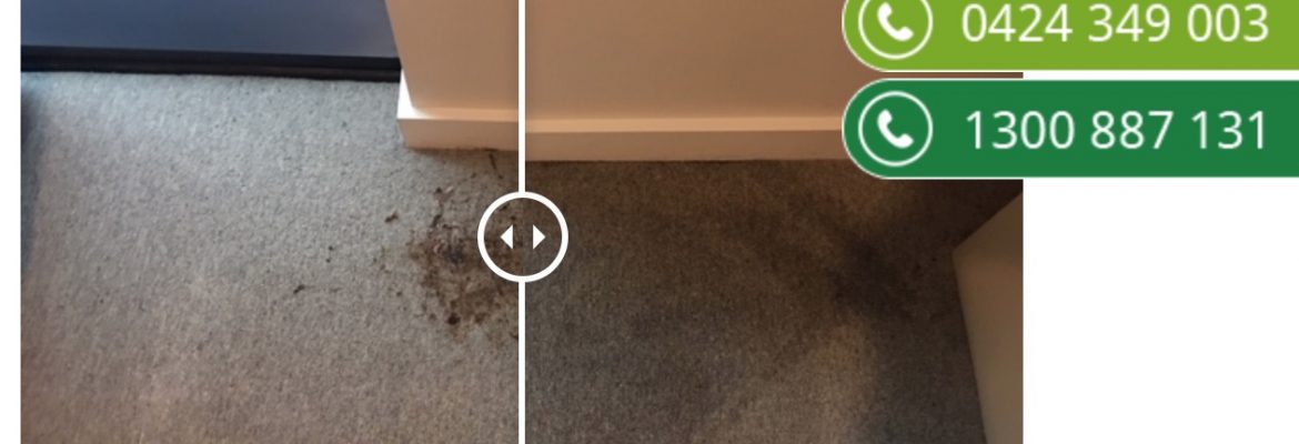 Jenas Carpet Cleaning Melbourne