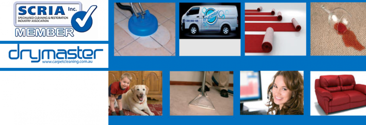 Drymaster Carpet Cleaning