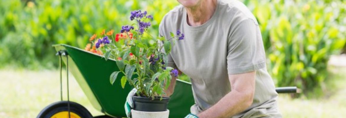 Handy Gardeners