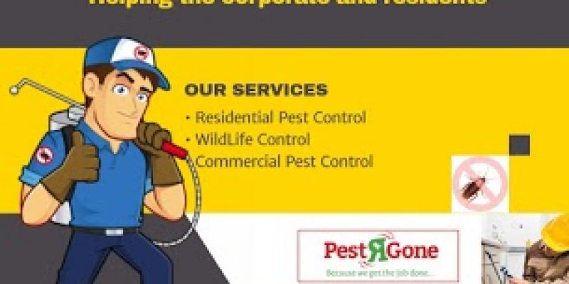 Pest R Gone – Pest Control North York