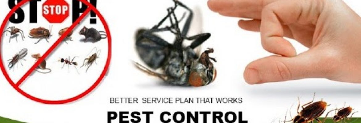 Marks Pest Control Canberra