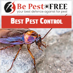 Pest Control Melbourne