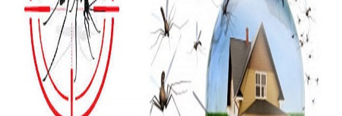 Fast Pest Control Melbourne