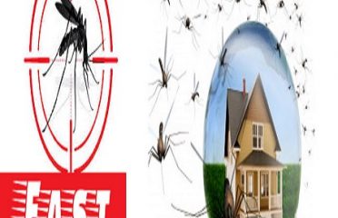 Fast Pest Control Melbourne