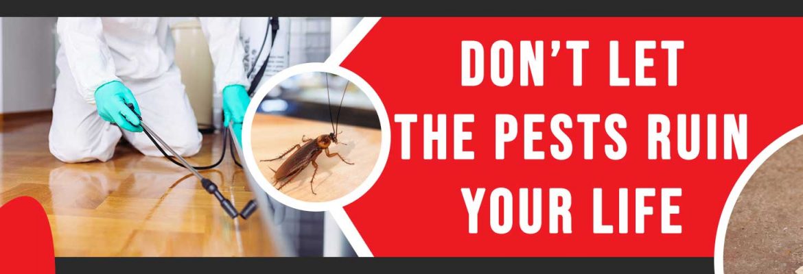 Pest Control Canberra