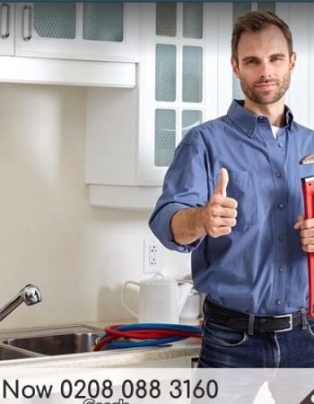 Pro Plumber Putney