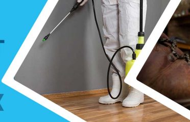 VIP Pest Management – Pest Control Perth