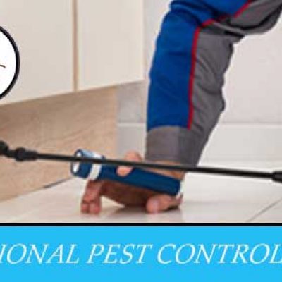 VIP Pest Management – Pest Control Melbourne