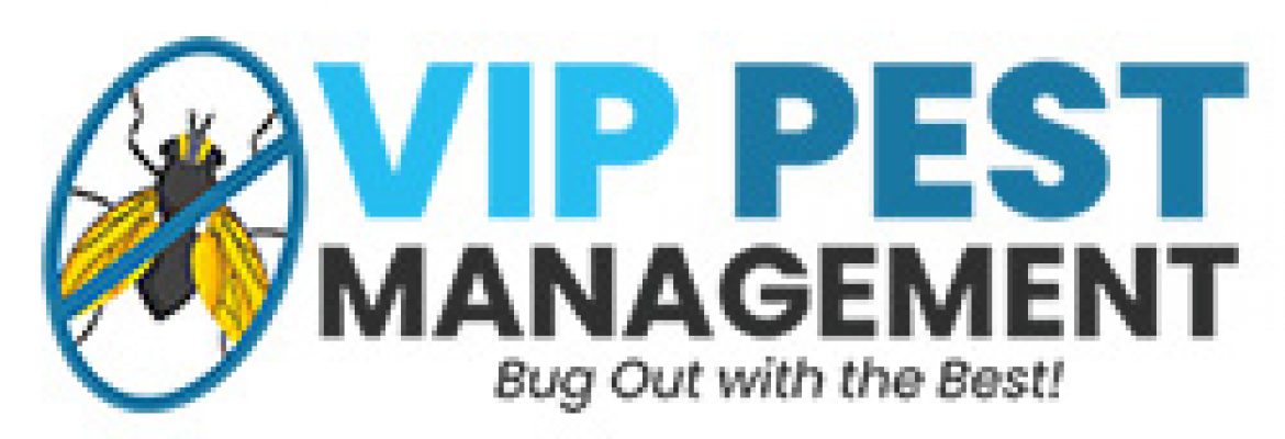 VIP Pest Management – Pest Control Brisbane