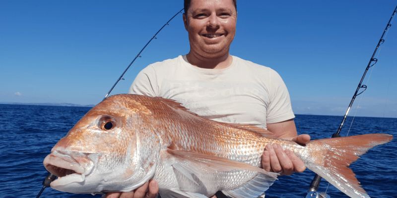 Phoenix Fishing Charters Auckland