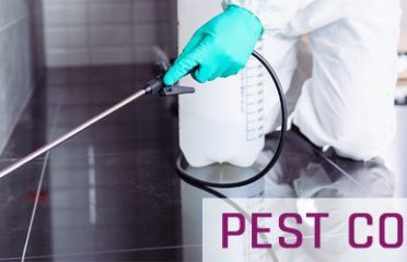 Pest Control Hobart