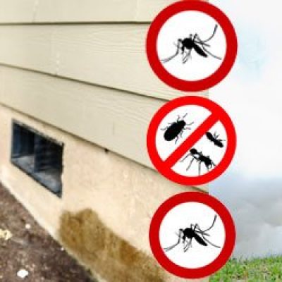 My Home Pest Control Brisbane