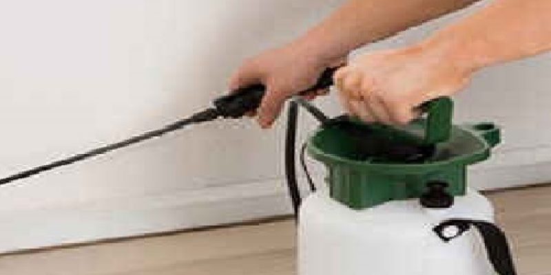 Pest Control Brisbane | Cheap Pest Control Service