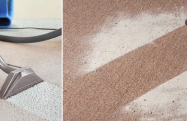 Fresh Carpet Cleaning Adelaide