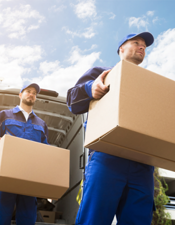 Black Gold Removalists Adelaide