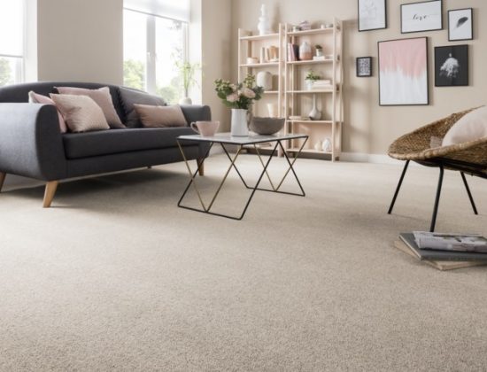 Professional Carpet Cleaning Sandgate