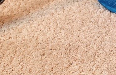 Carpet Cleaning Services Adelaide