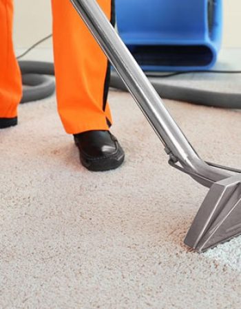 Carpet Cleaning Services Adelaide