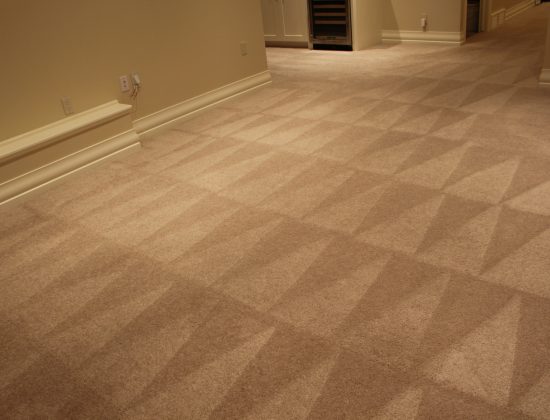 Professional Carpet Cleaning Sandgate