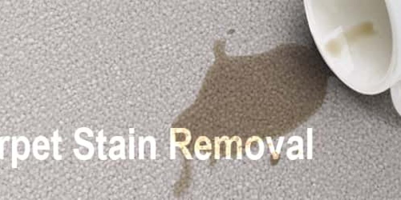 Professional Carpet Cleaning Parramatta