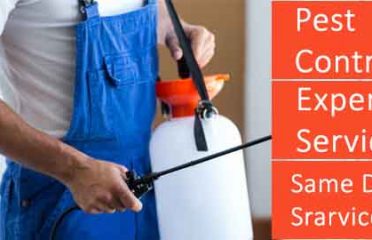 Pest Control Canberra