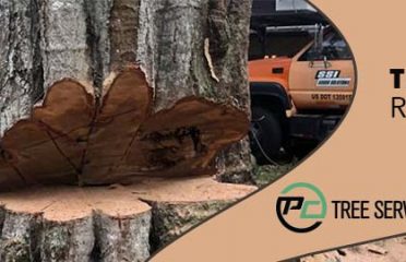 PCTrees Services